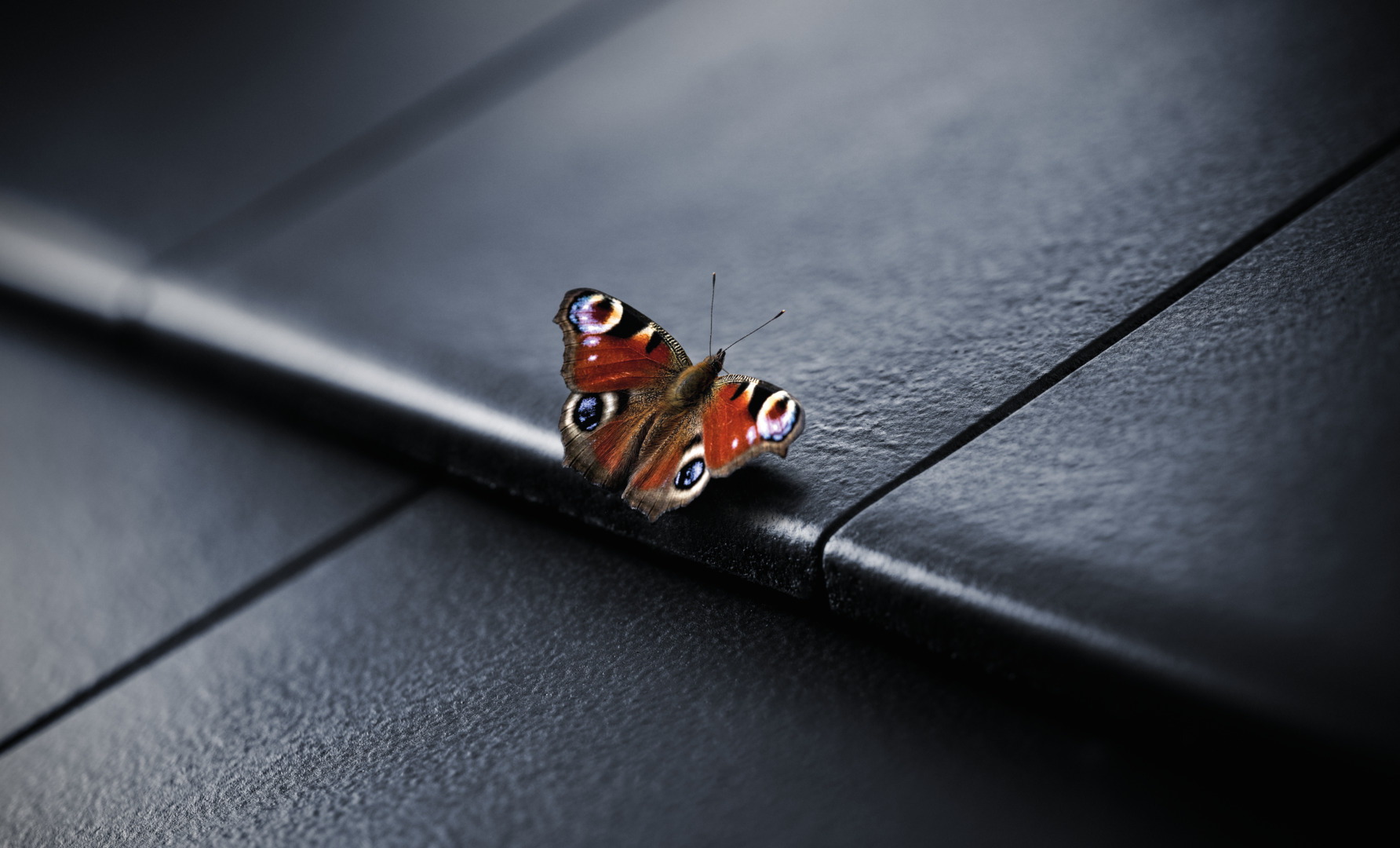 KeyVisual_BRAAS_Tegalit_Aerlox_biozidfreie_Farben_Ausschnitt_4c